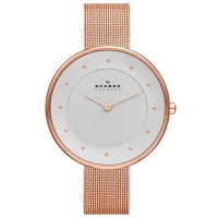 Ceas de mână pentru femei Skagen SKW2142 Cuarț/ 38 mm