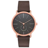 Ceas de mână pentru bărbați Skagen SKW6213 Cuarț/ 40 mm