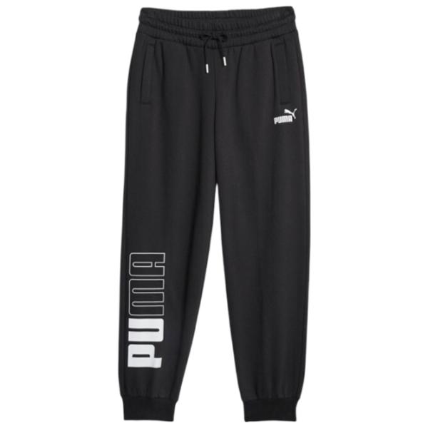 Спортивные брюки для женщин Puma Power Colorblock Sweatpants Fl L/ Черный photo 1 Спортивные брюки для женщин Puma Power Colorblock Sweatpants Fl L/ Черный photo 1