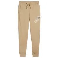 Спортивные брюки для мужчин Puma Power Graphic Sweatpants Tr Cl S/ Prairie Tan