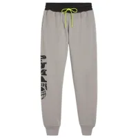 Спортивные брюки для мужчин Puma Posterize 2.0 Pant Stormy M/ Серый