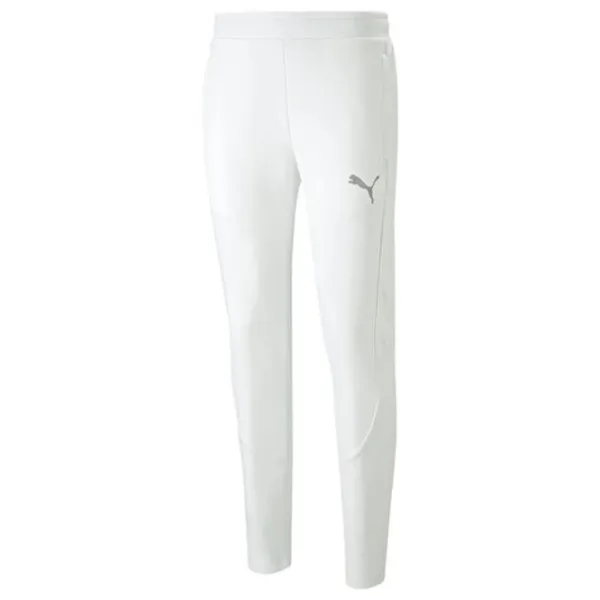 Pantaloni sportivi pentru bărbați Puma Evostripe Pants Dk XXL/ White photo 1