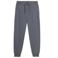 Pantaloni sportivi pentru bărbați 4F joggers sweatpants M/ Gray