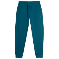 Pantaloni sportivi pentru bărbați 4F joggers L/ Turquoise