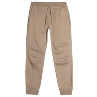 Pantaloni sportivi pentru bărbați 4F casual joggers M/ Beige