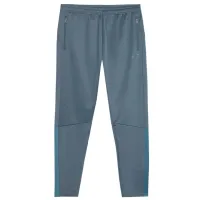 Спортивные брюки для мужчин 4F 4FRAW23TFTRM470-20S XL/ Графитовый