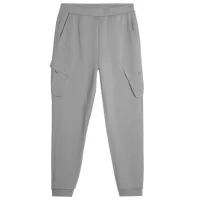 Спортивные брюки для мужчин 4F cargo joggers L/ Серый