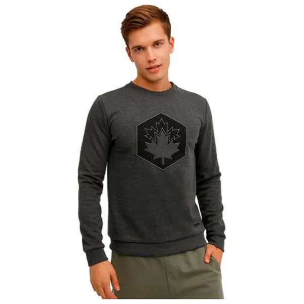 Hanorac pentru bărbați Lumberjack 3W ML ARON 16SD4001 3PR Drept/ Anthracite photo 1