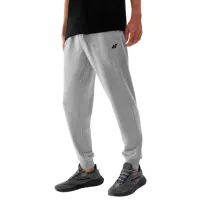 Спортивные брюки для мужчин 4F 4FAW23TTROM451-27M XXL/ Серый