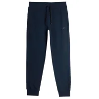 Pantaloni sportivi pentru bărbați 4F 4FAW23TTROM451-30S 3XL/ Navy Blue