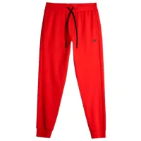 Pantaloni sportivi pentru bărbați 4F 4FAW23TTROM451-62S M/ Red