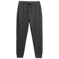 Спортивные брюки для мужчин 4F 4FAW23TTROM452-23M 3XL/ Серый