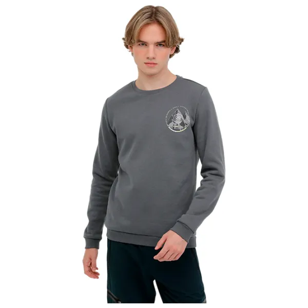 Hanorac pentru bărbați Lumberjack ML NATURELY 16CG700 3PR Drept/ Anthracite photo 1