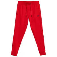 Спортивные брюки для мужчин 4F 4FAW23TTROM452-62S M/ Красный