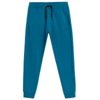 Pantaloni sportivi pentru bărbați 4F 4FAW23TTROM452-32S XXL/ Navy Blue