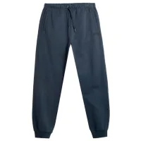 Спортивные брюки для мужчин 4F 4FAW23TTROM466-31S XL/ Navy Blue