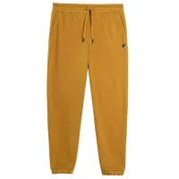 Pantaloni sportivi pentru bărbați 4F 4FAW23TTROM517-74S S/ Gold