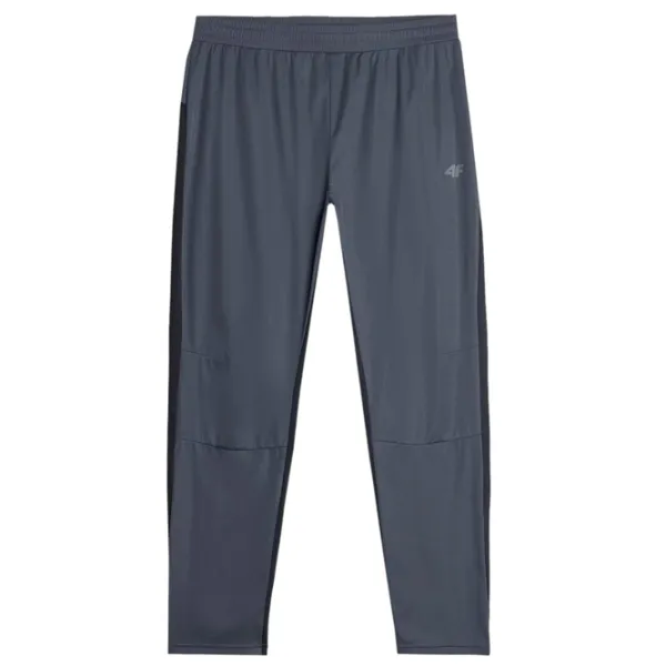 Спортивные брюки для мужчин 4F 4FAW23TFTRM330-22S M/ Серый photo 1