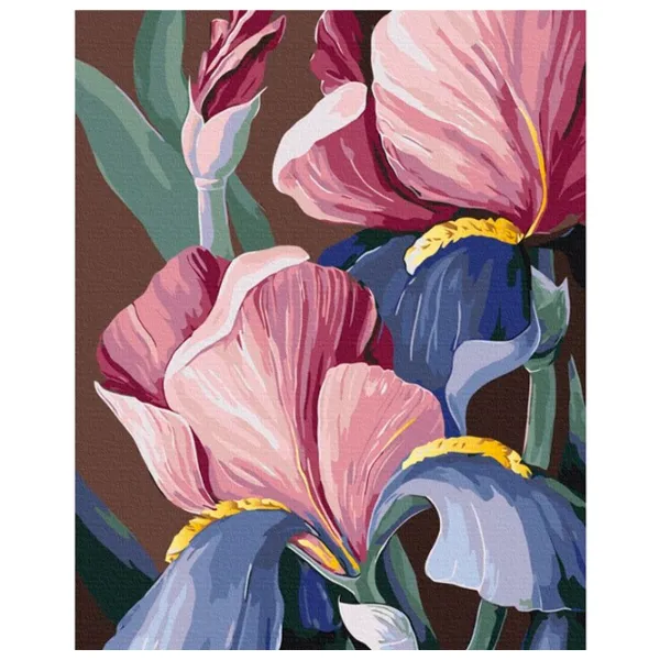 Pictură pe numere BrushMe Iriși BS53760FC 50 x 40 cm/ Verticală photo 1