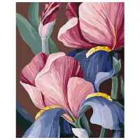 Pictură pe numere BrushMe Iriși BS53760FC 50 x 40 cm/ Verticală