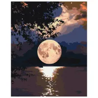 Картина по номерам BrushMe Закат BS5639 50 x 40 см/ Вертикальная