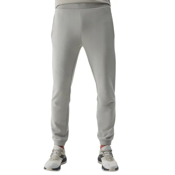 Pantaloni sportivi pentru bărbați 4F 4FWSS24TTROM645-25S L/ Gray photo 1