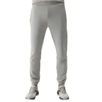 Pantaloni sportivi pentru bărbați 4F 4FWSS24TTROM645-25S L/ Gray