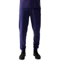 Спортивные брюки для мужчин 4F 4FWSS24TTROM603-31S XL/ Темно-синий