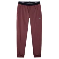 Спортивные брюки для мужчин 4F 4FWSS24TFTRM525-81S XL/ Коричневый