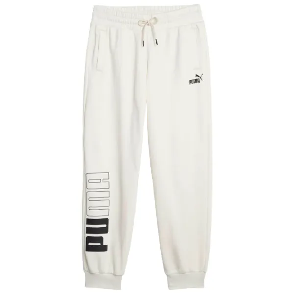 Спортивные брюки для женщин Puma Power Colorblock Sweatpants Fl XL/ Альпийский снег photo 1