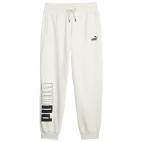 Спортивные брюки для женщин Puma Power Colorblock Sweatpants Fl XL/ Альпийский снег
