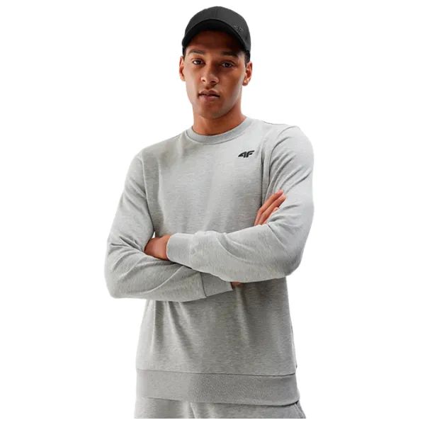 Hanorac pentru bărbați 4F 4FWSS24TSWSM1181 Drept/ Grey photo 1