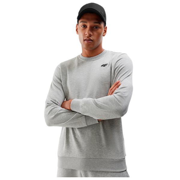 Hanorac pentru bărbați 4F 4FWSS24TSWSM1181 Drept/ Grey photo 1