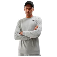 Hanorac pentru bărbați 4F 4FWSS24TSWSM1181 Drept/ Grey