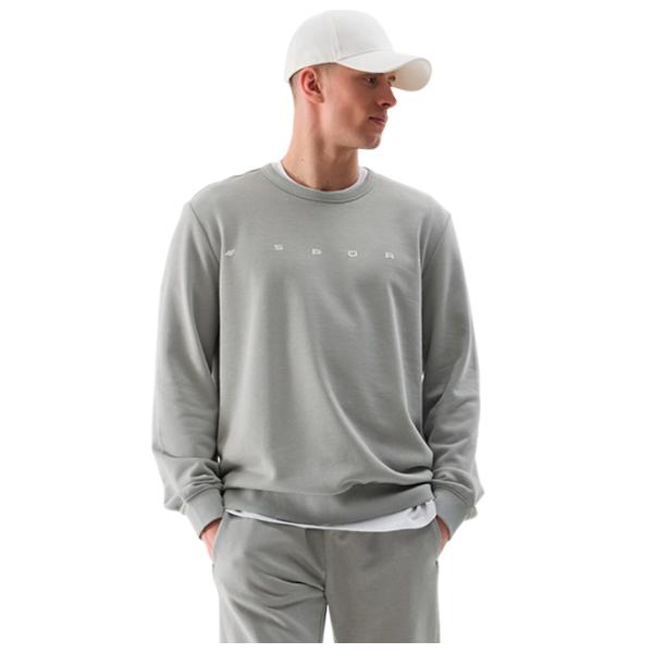 Толстовка для мужчин 4F 4FWSS24TSWSM1009 Прямой/ Grey photo 1