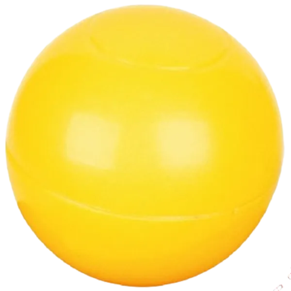  Игрушки для детей Pilsan 03356  de la 12 luni photo 1