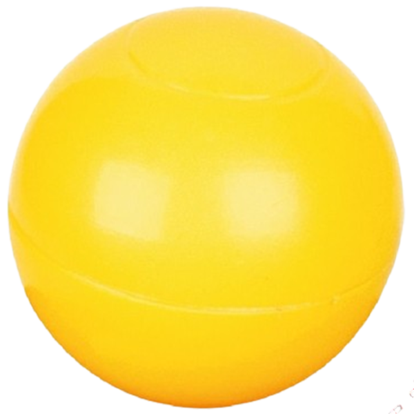  Игрушки для детей Pilsan 03356  de la 12 luni photo 1