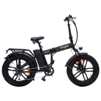 Электровелосипед SkyJet Nitro PRO 20" Черный