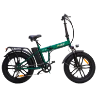 Электровелосипед SkyJet Nitro PRO 20" Зелёный