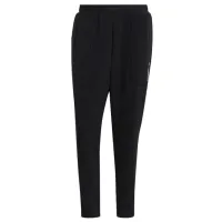 Pantaloni sportivi pentru bărbați Adidas Trainingshose Terrex M / Black