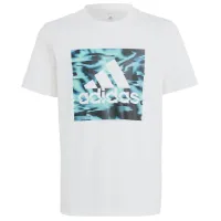 Футболка для мальчиков Adidas U Akd Gt 152/ Белый