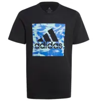 Футболка для мальчиков Adidas U Akd Gt 152/ Черный