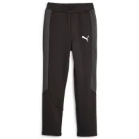 Спортивные брюки для мальчиков Puma Evostripe Pants Dk 176/ Черный