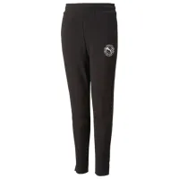 Спортивные брюки для мальчиков Puma Active Sports Sweatpants Tr 176/ Черный