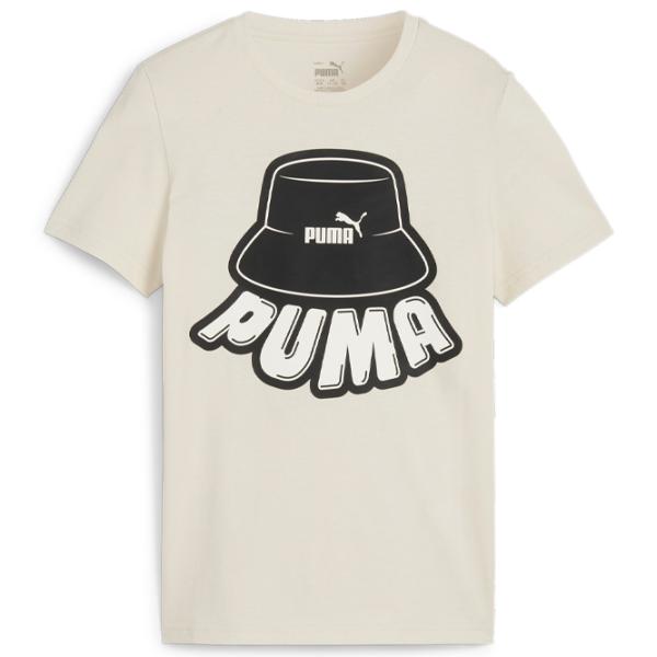 Футболка для мальчиков Puma Ess+ Mid 90S Graphic Tee B 164/ Альпийский снег photo 1