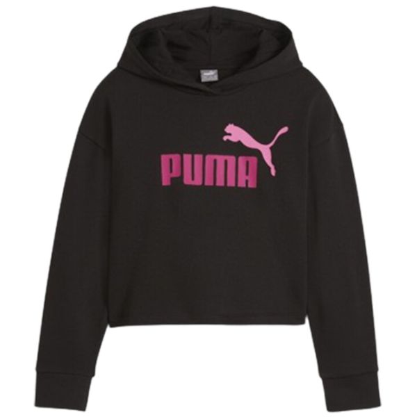 Толстовка для девочек Puma Ess+ 2Color Logo Short Length Hoodie Tr G 176/ Черный photo 1