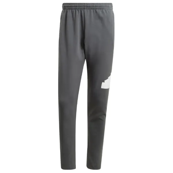 Pantaloni sportivi pentru bărbați Adidas M Fi Bos Pt legend XXL/ Gray photo 1