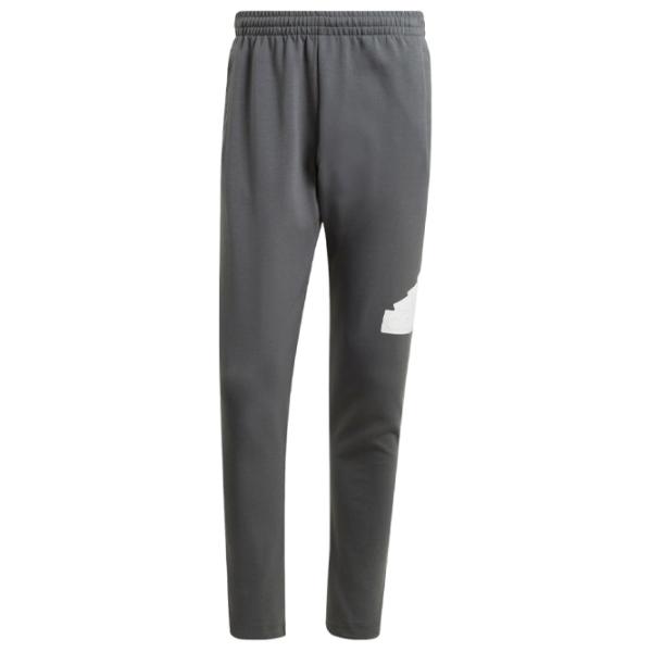 Pantaloni sportivi pentru bărbați Adidas M Fi Bos Pt legend XXL/ Gray photo 1