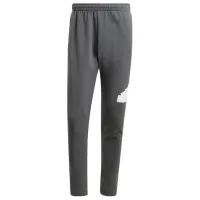 Pantaloni sportivi pentru bărbați Adidas M Fi Bos Pt legend XXL/ Gray