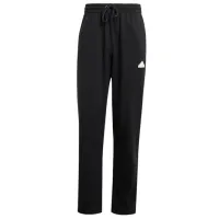 Спортивные брюки для мужчин Adidas Bl Ft Pnt Q1 XXL / Черный